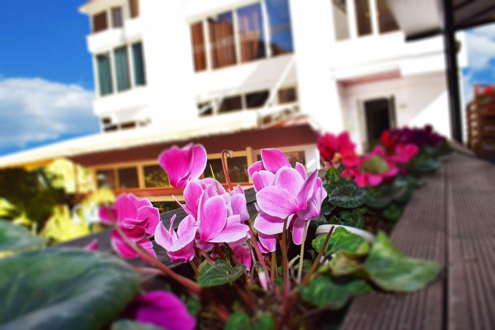Royal Vila Hotel Tiran Dış mekan fotoğraf